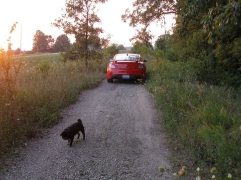 2010 Hyundai Genesis - A red coupe is parked on a gravel road, with a pug walking in front of it.