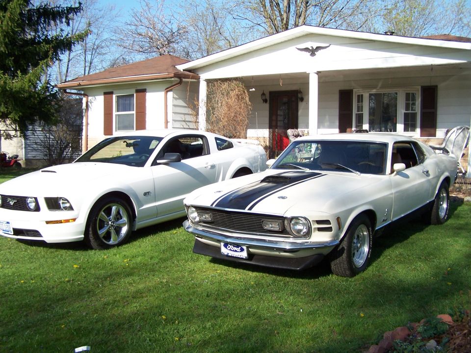 Two white Ford Mustangs, a modern GT and a classic Mach 1 with black hood stripes, parked on grass in front of a house.