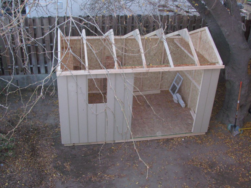 Unfinished shed with exposed roof rafters and plywood interior walls, viewed from above