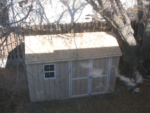 1968 Ford Mustang - A tan shed with a window and double doors is seen outdoors, with tree branches in the foreground.