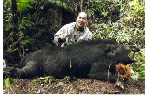 1991 Ford Bronco - Wahiawa boy Keahialaka Balaz getting it done on the Big Island. 300 lbs of nasty feral boar just 2 shots from being on the wrong end of thi…