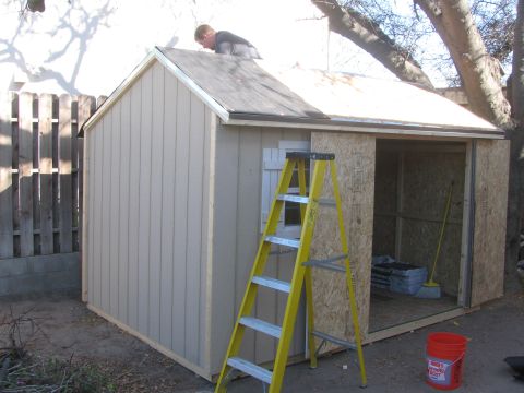 1968 Ford Mustang - A person works on the roof of a shed while a ladder stands nearby, with the interior visible through the open doorway.