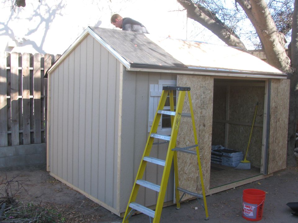 man on roof of shed, ladder leaning against side, open doorway