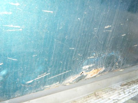 1981 Ford E350 - Rust is visible on the lower body panel of this vehicle.