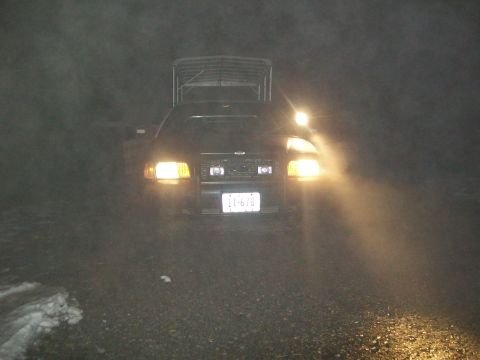 2003 Ford Crown Victoria “Victoria / Viki”