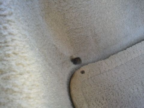 2008 Subaru Legacy - Close-up of stained car carpet, with a watermark from Supermotors.net visible.