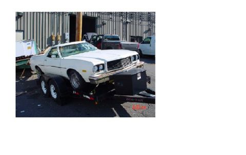 1976 Ford Ranchero photo