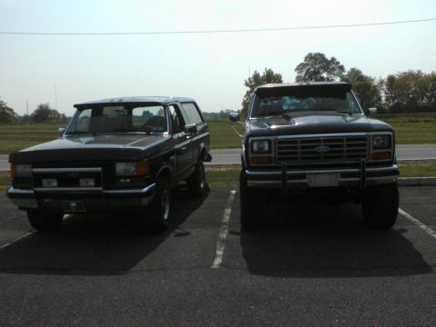 1988 Ford Bronco - Two Ford trucks, a Bronco and an F-Series, are parked next to each other on a sunny day.