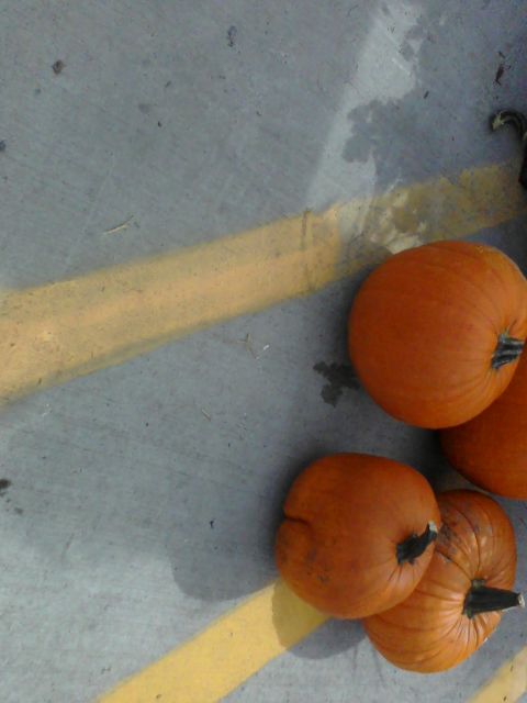 1988 Ford Bronco - Several pumpkins sit on a concrete surface marked with yellow lines.