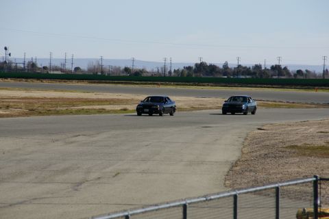 1995 Ford Taurus - Two dark 1995 Ford Tauruses are seen on a race track during a sunny day.