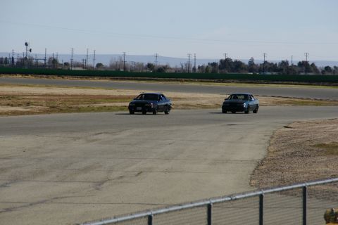 1995 Ford Taurus - Two sedans are on a racetrack, with a chain-link fence in the foreground.