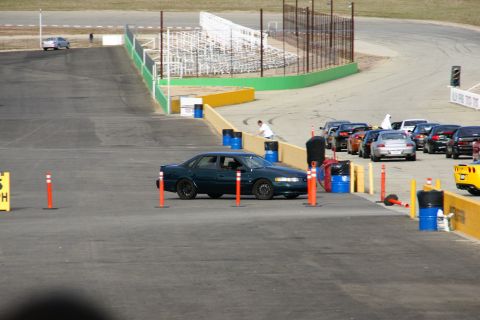 1995 Ford Taurus - A dark green 1995 Ford Taurus sedan is positioned on a race track, with other vehicles lined up in the background.
