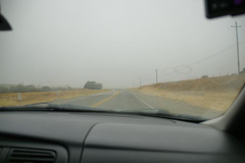 1995 Ford Taurus - The view from the driver's seat shows a road stretching into a hazy distance under an overcast sky.