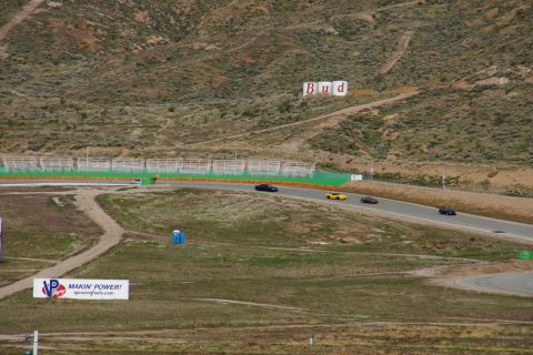 1995 Ford Taurus - Cars are seen on a race track with a Budweiser advertisement visible on the hillside.