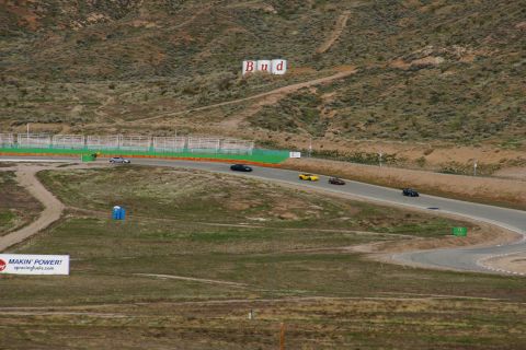 1995 Ford Taurus - Cars compete on a race track, with a large Budweiser advertisement visible on the hillside.