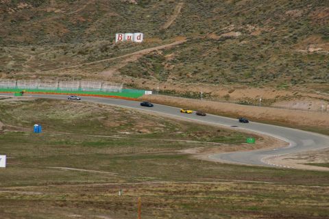 1995 Ford Taurus - A race track scene features multiple cars navigating a curve, with a prominent Budweiser advertisement visible on the hillside.