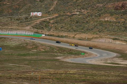 1995 Ford Taurus - Several cars are driving on a race track with a large Budweiser sign visible on the hillside.
