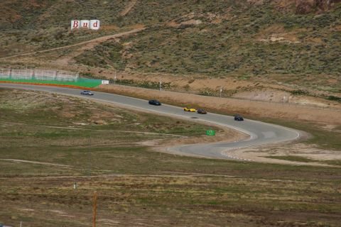 1995 Ford Taurus - Several cars race on a winding track, with a large Budweiser sign visible on the hillside above.