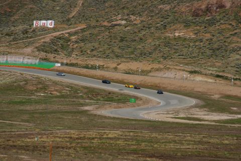 1995 Ford Taurus - Cars race on a track with a distant Budweiser sign visible on the hillside.