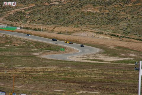 1995 Ford Taurus - Several cars race on a winding track with Budweiser cans visible on a nearby hill.