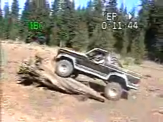 1984 Ford Bronco - Tree hugger