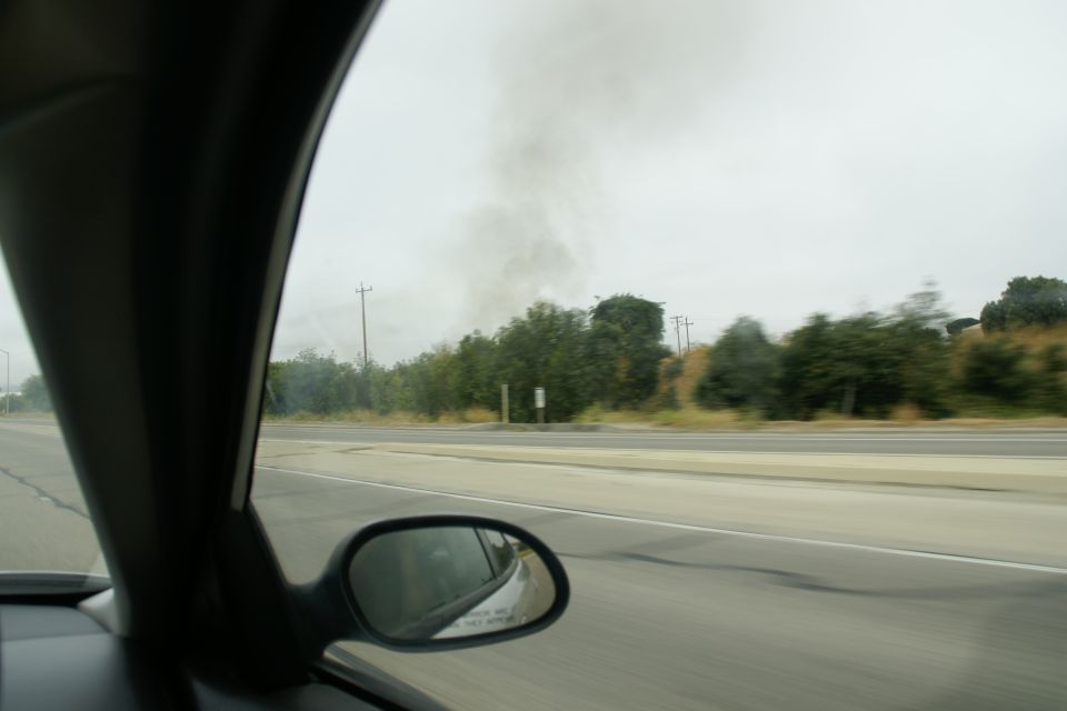 Smoke plume rising above trees from a roadside fire