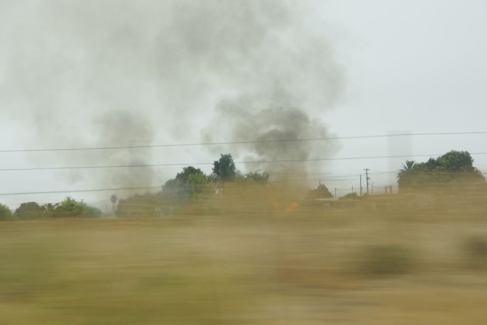 Smoke billowing from a field with trees and power lines