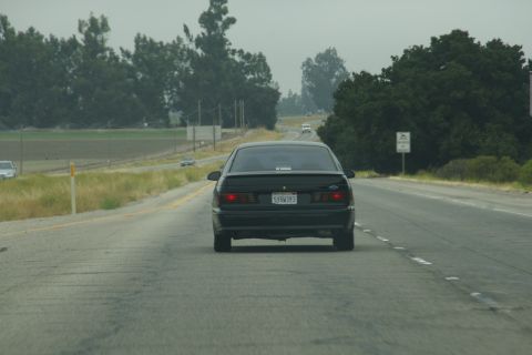 1995 Ford Taurus - Black 1995 Ford Taurus seen from the rear on a highway with trees and fields in the background.