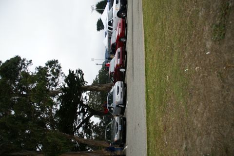 1995 Ford Taurus - A silver 1995 Ford Taurus is parked in a line of vehicles on a cloudy day.