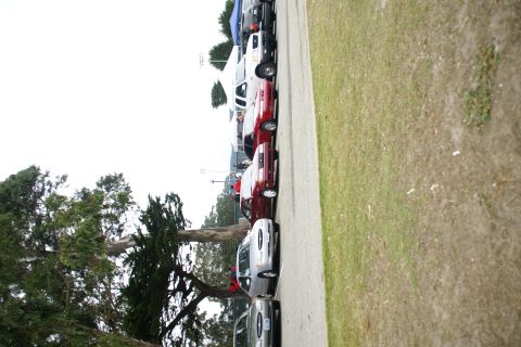 1995 Ford Taurus - A row of vehicles are parked on a street, with trees and a cloudy sky in the background.