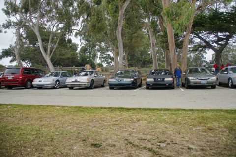 1995 Ford Taurus - A row of sedans are parked under trees, with a silver 1995 Ford Taurus in the foreground.
