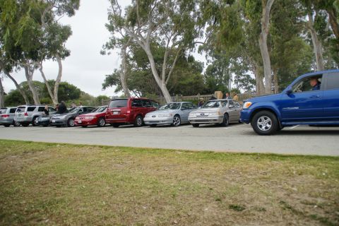 1995 Ford Taurus - Several cars and a blue truck are parked in a row near trees and grass.