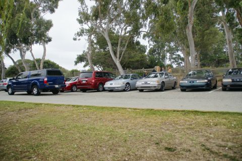 1995 Ford Taurus - A row of vehicles, including SUVs and sedans, are parked in a lot with trees in the background.