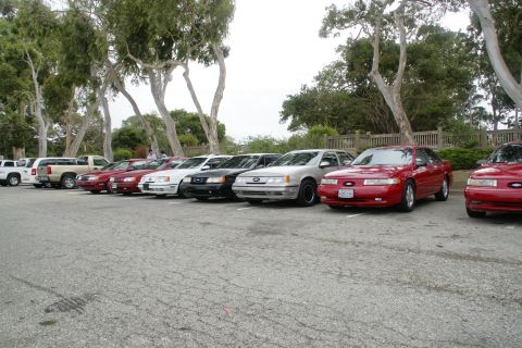 1995 Ford Taurus - A line of Ford Taurus sedans are parked in a lot, with a red one prominently displayed in the foreground.
