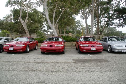 1995 Ford Taurus - Multiple Ford Tauruses are parked in a lot with trees in the background.