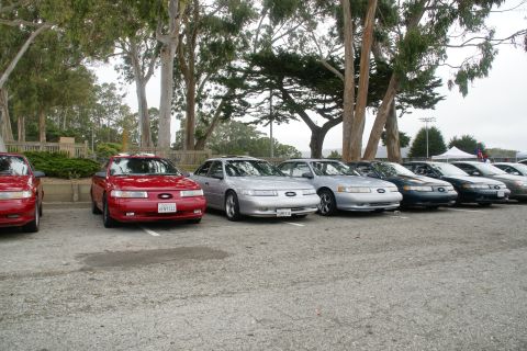 1995 Ford Taurus - A line of Ford Taurus sedans, including a red 1995 model, are parked in a lot under tall trees.