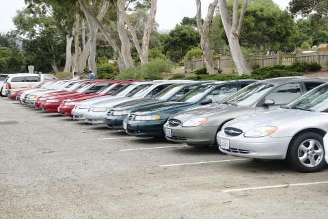 1995 Ford Taurus - A row of sedans are parked in an outdoor lot, with trees and a wooden fence visible behind them.