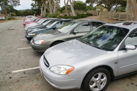 1995 Ford Taurus - A line of sedans are parked in a lot, with the closest vehicle being a silver sedan.