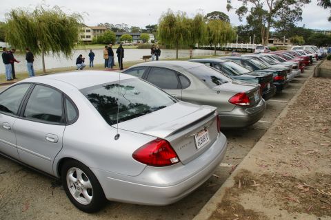1995 Ford Taurus - A line of sedans are parked along a waterfront, with people observing the scene.