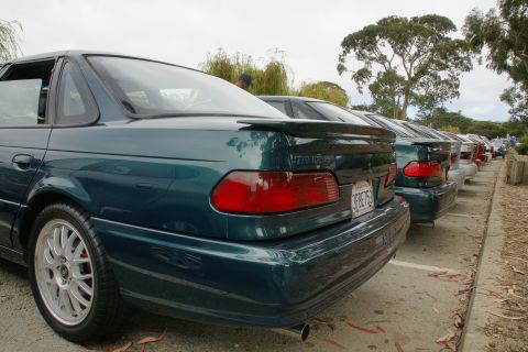 1995 Ford Taurus - Several Ford Taurus sedans are parked in a row, viewed from the rear. The closest car has a spoiler.