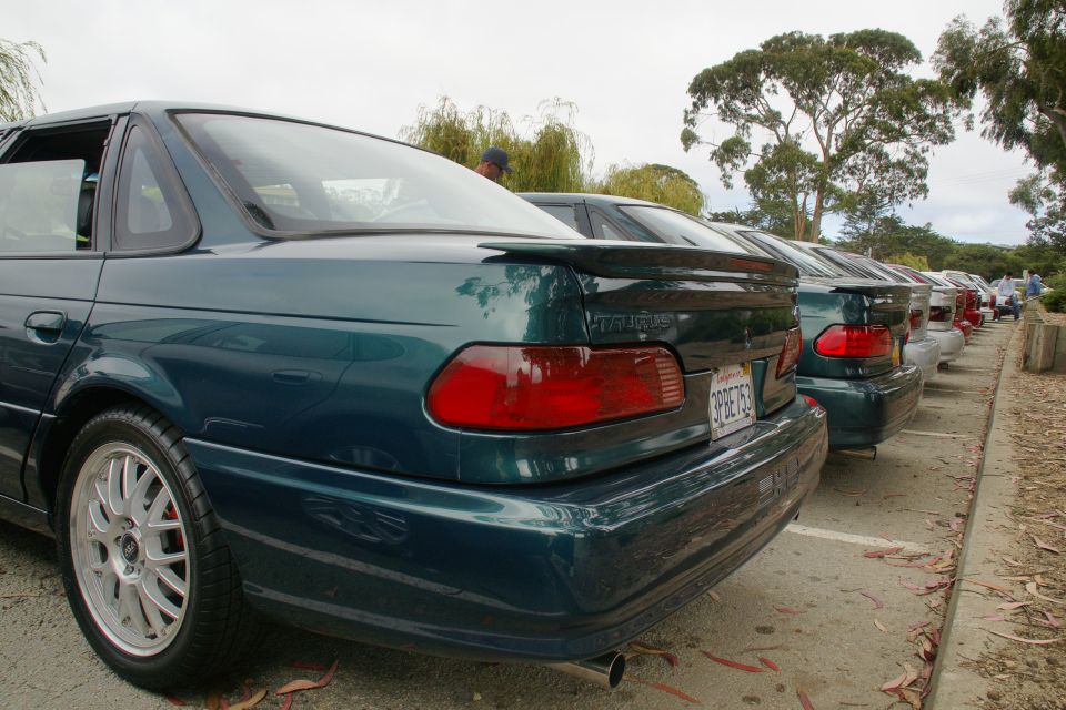 Line of dark green Ford Taurus sedans parked, rear view. One has a spoiler and a license plate reading 3PBE753