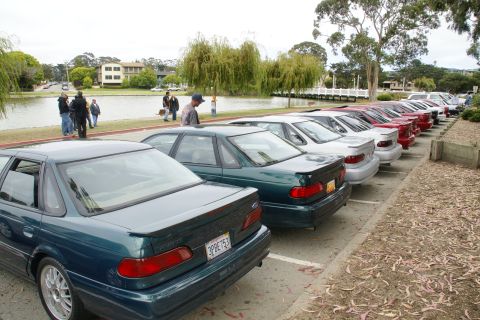 1995 Ford Taurus - A line of sedans, including a dark green one with a spoiler, are parked along a waterfront area.