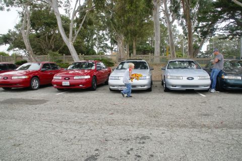 1995 Ford Taurus - A group of Ford Taurus sedans are parked together in a lot, with a child walking between two of them.