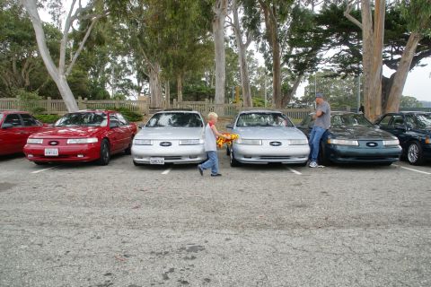 1995 Ford Taurus - Several Ford Taurus sedans are parked in a lot, with a child walking between two silver models.