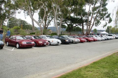 1995 Ford Taurus - A row of Ford Taurus sedans from the mid-1990s are parked in a lot under tall trees.