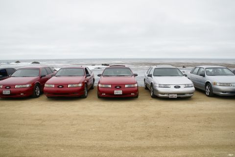 1995 Ford Taurus - Several Ford Taurus models are parked on a beach, with the ocean and cloudy sky visible behind them.