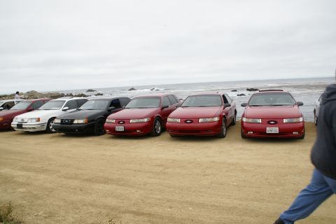 1995 Ford Taurus - Several Ford Taurus sedans are lined up on a beach, with the ocean and sky visible behind them.