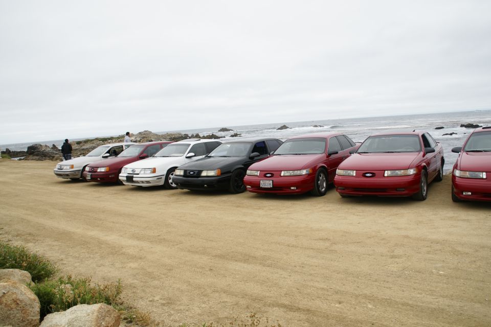 Several red and white 1995 Ford Taurus sedans and wagons parked on a beach