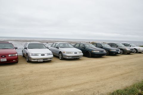1995 Ford Taurus - Multiple Ford Taurus models, including a wagon, are parked side-by-side on a coastal dirt lot.