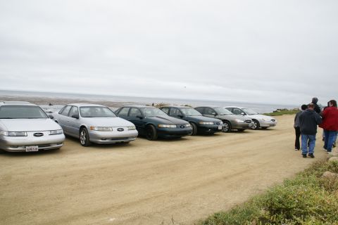 1995 Ford Taurus - A line of Ford Taurus sedans are parked on a dirt road with the ocean in the background.